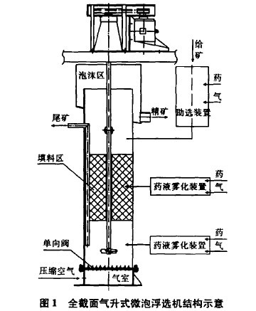 全截面气升式微泡浮选机